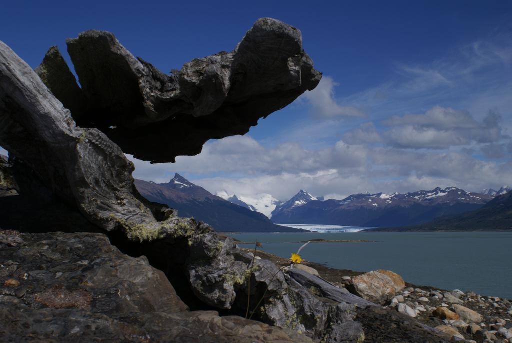 فندق Adventure Domes Glamping Colonia Francisco Perito Moreno المظهر الخارجي الصورة