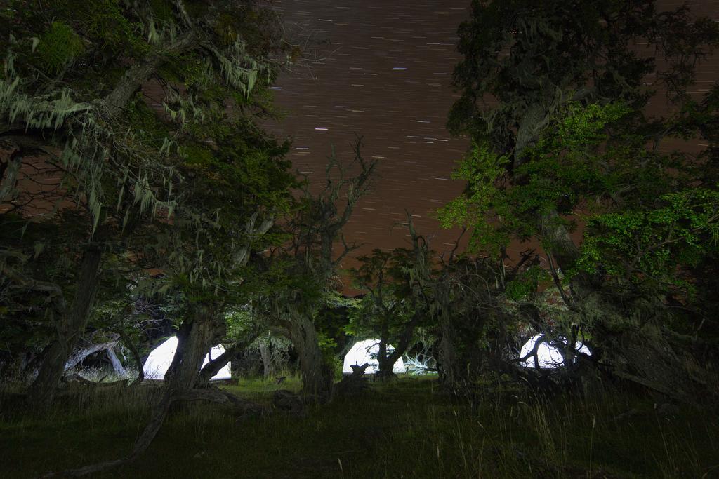 فندق Adventure Domes Glamping Colonia Francisco Perito Moreno الغرفة الصورة