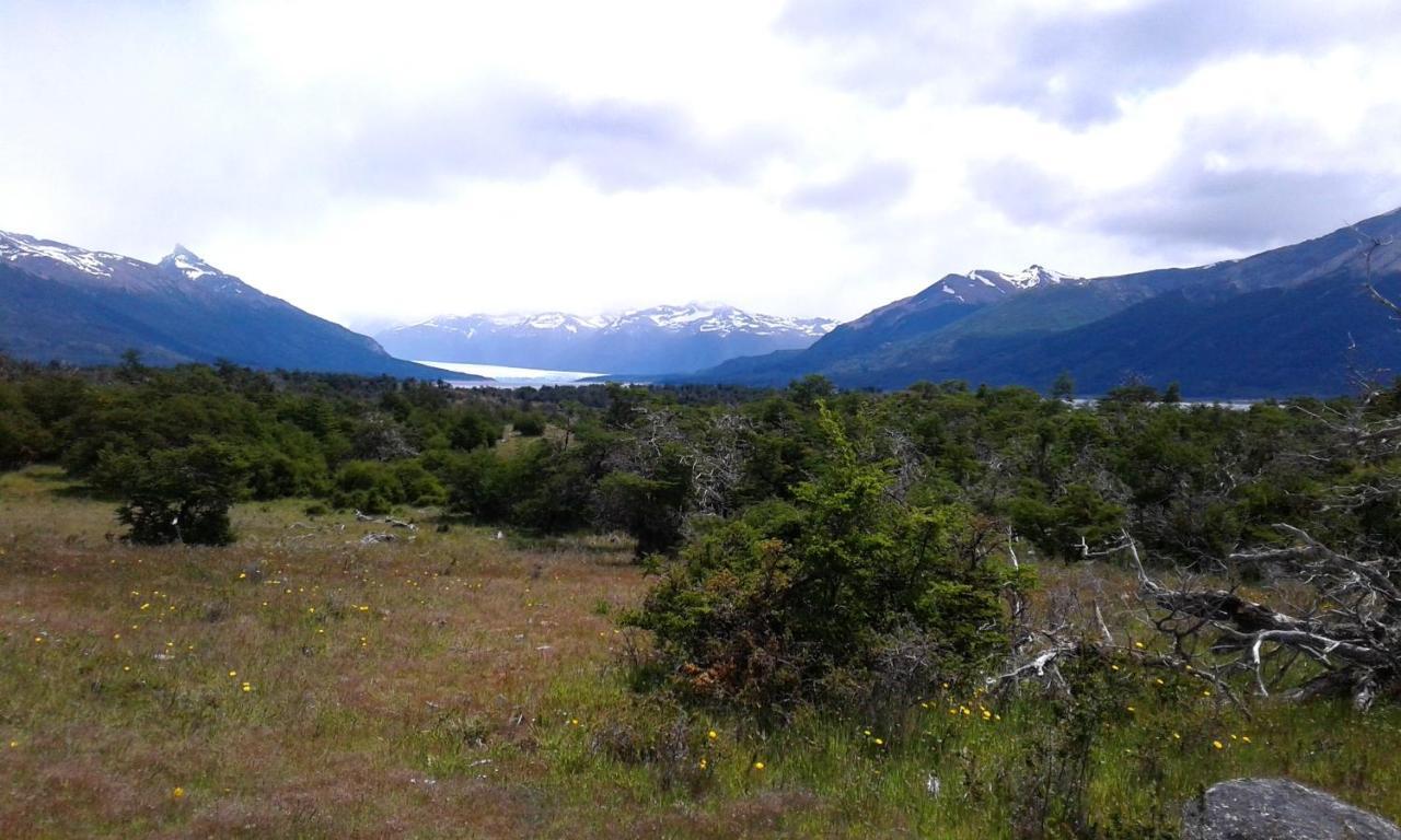 فندق Adventure Domes Glamping Colonia Francisco Perito Moreno المظهر الخارجي الصورة