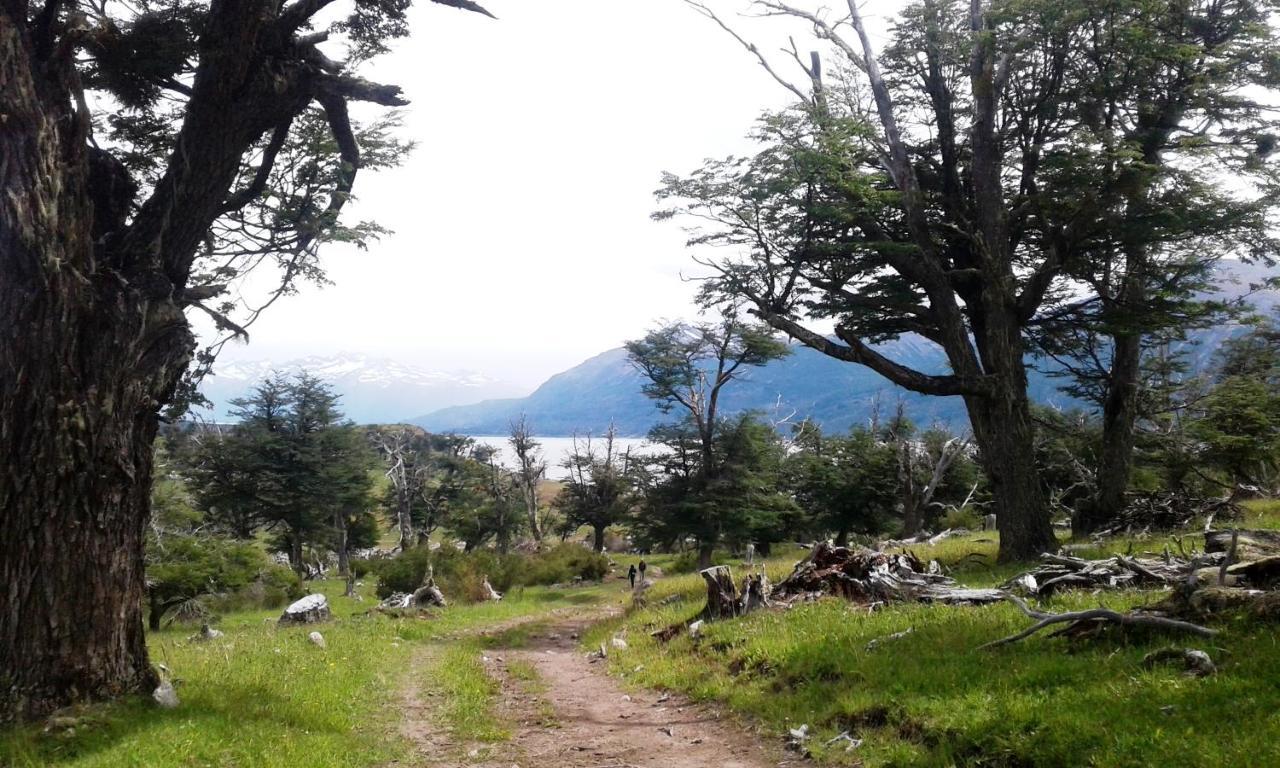 فندق Adventure Domes Glamping Colonia Francisco Perito Moreno المظهر الخارجي الصورة